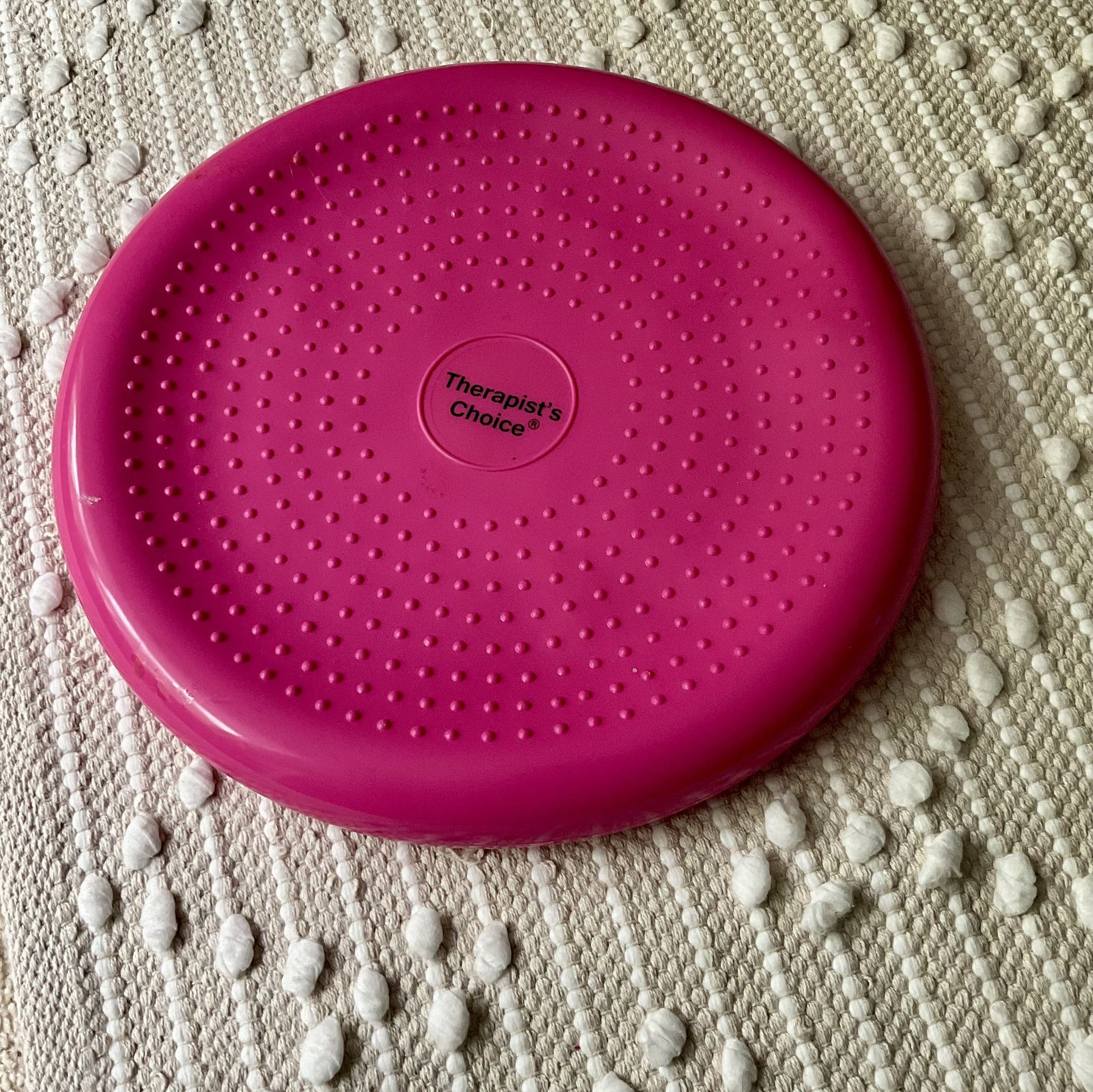 Therapists Choice Stability Balance Disk