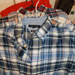 Tommy,polo