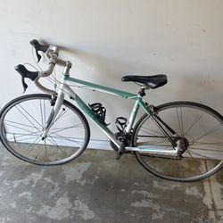 2009 Trek 2.3 WSD