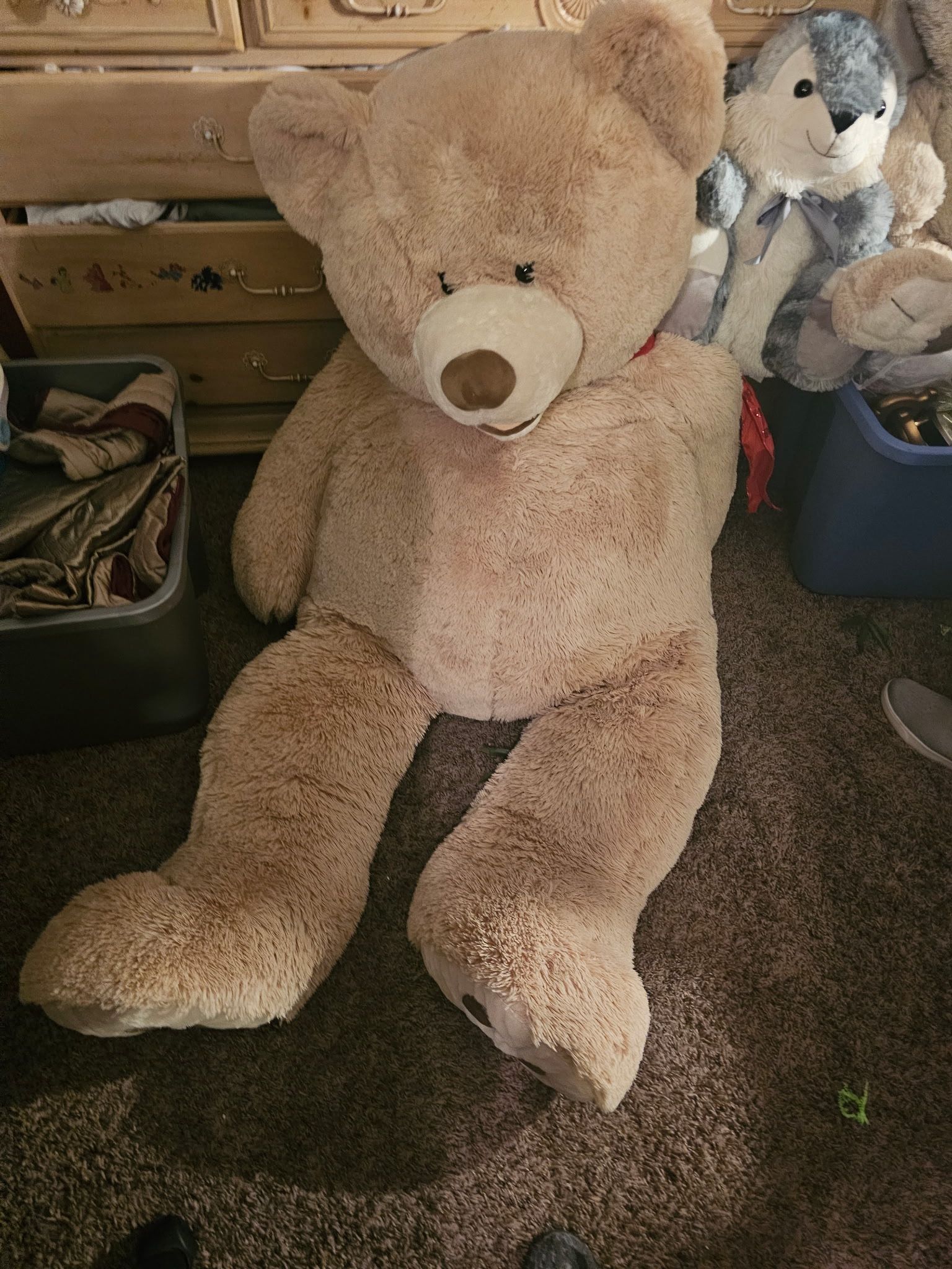 Stuffed Animals