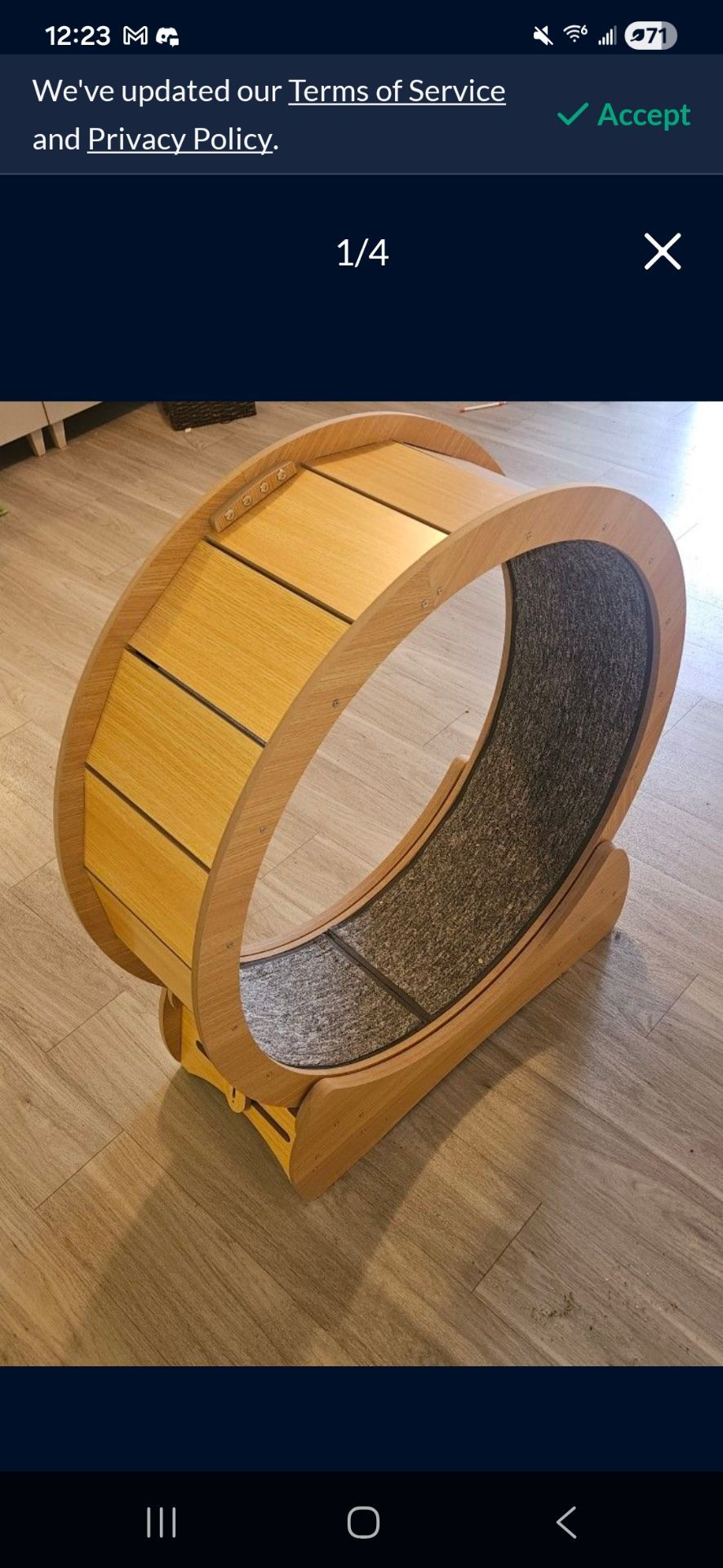 Cat Wheel