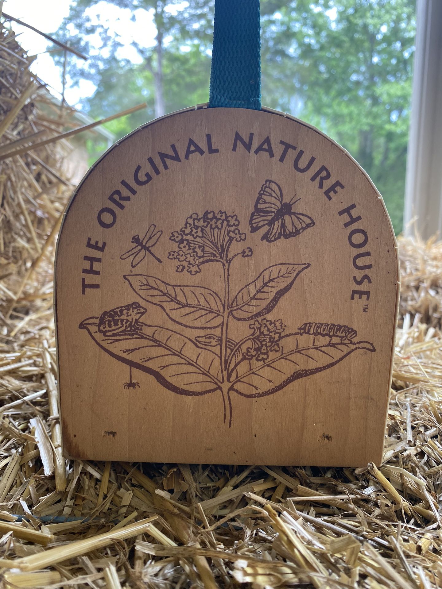 Wooden Small Animal Carrier