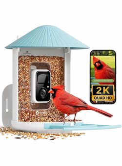 NETVUE by Birdfy Smart Bird Feeder with 2K AI Camera, Value for Beginners Accurate AI Bird ID, Auto Records & Smart Notification, Free Cloud Storage,