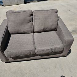 Loveseat  and Bed Sofa Set 