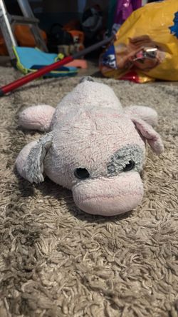 Piggy stuffy