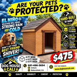 🏠 BIG DOG? BIGGER DOG HOUSE!