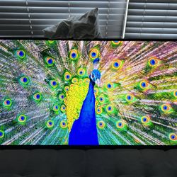 65 Inch 4K Westinghouse Smart TV