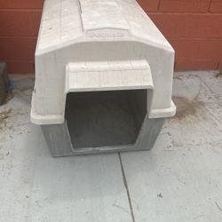 Dog House 