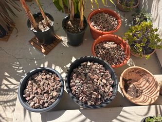 Free: Decorative Gravel Rocks for Planters