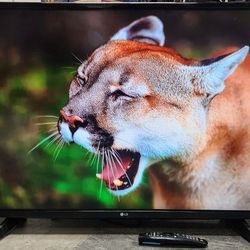 43" 1080p LED Smart Tv 2017