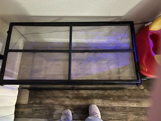 Tortoise tank and decoration
