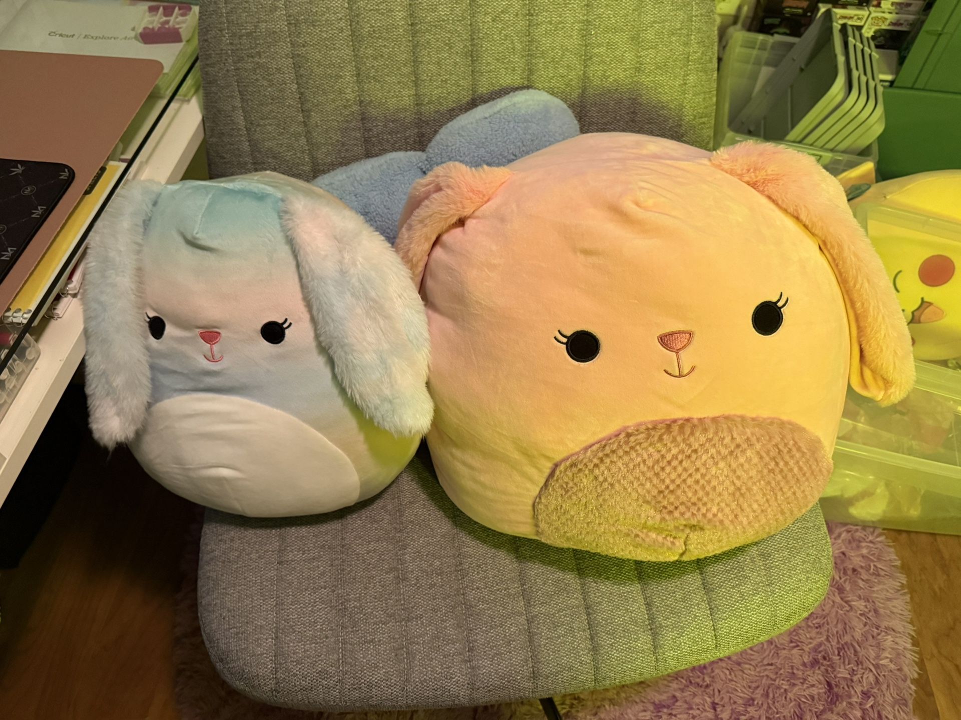 Bunny Squishmallow bundle 
