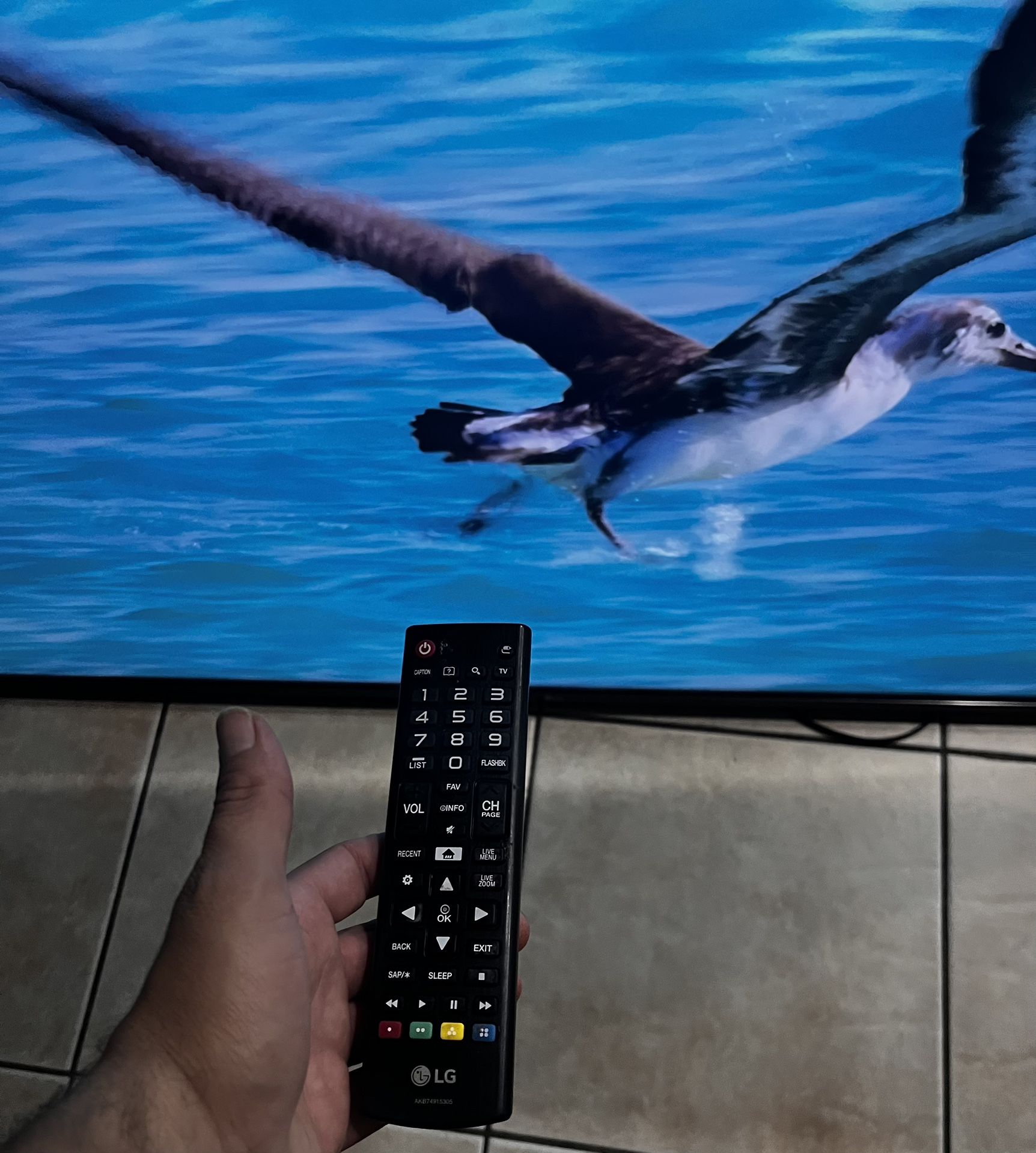 TV 65-Inch 4K LG UHD TV Commercial TV- Used good condition  