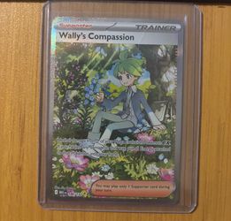 Pokemon Wally’s compassion