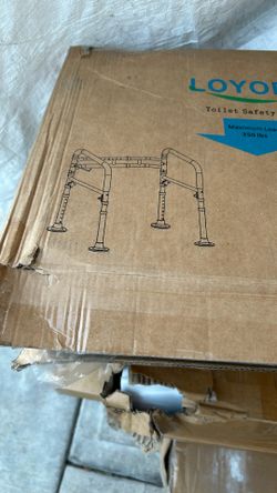 Toilet Safety Rail