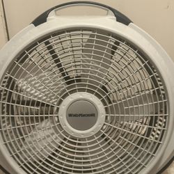 Fan