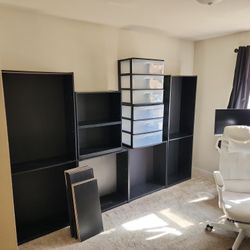 Free Shelves and Storage Bins