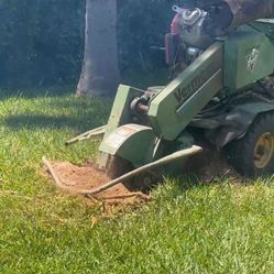 Stump Grinding  $50