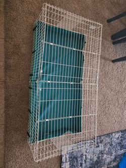White Wire Pet Cage with Teal Liner