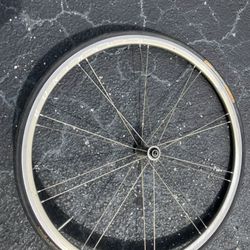 Bontrager Race Lite Select with Campagnolo Cassette Continental 4000 Grand Prix Tires  700x23c