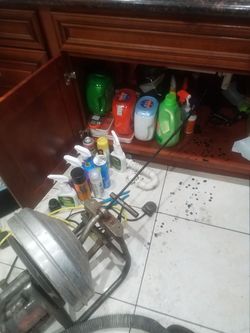 Plumbing snake