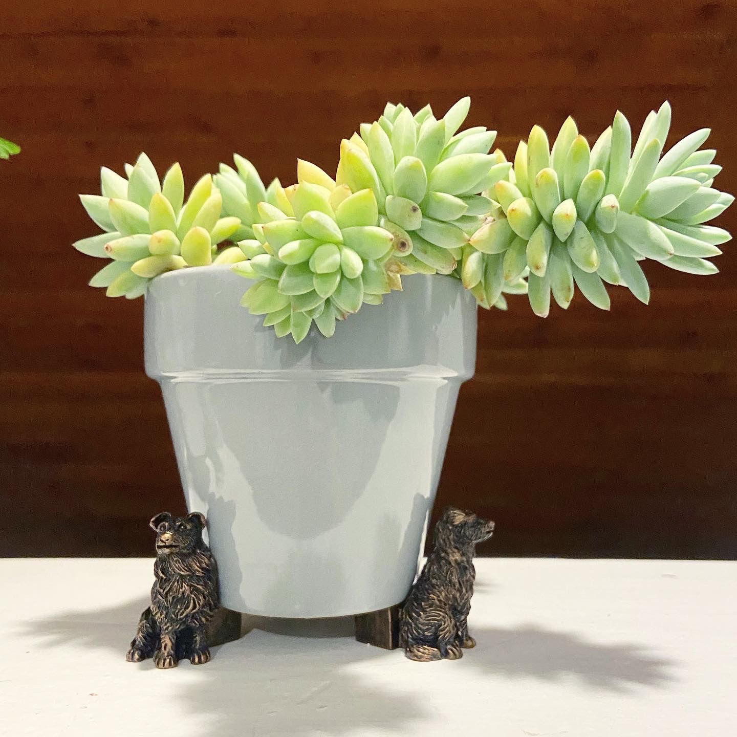Dog Pot Risers