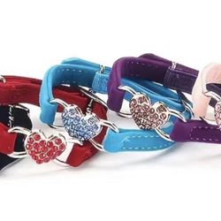 Pet Collars