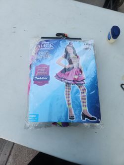 Alice in  wonderland mad  hatter  costume