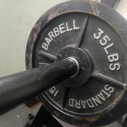 Weight Bench And Rack 