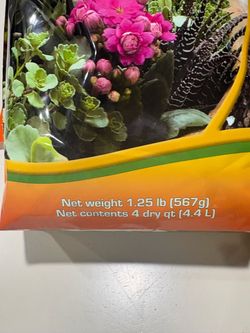 Succulent Potting Soil Mix 4 Dry Qt Bag