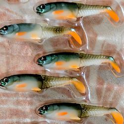 Savage gear craft cannibal shad