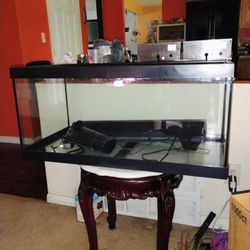 70 Gallon Fish Tank