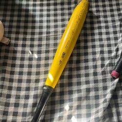 33 Inch Easton Bat