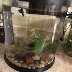 Fish Aquarium  Tank No Fish 