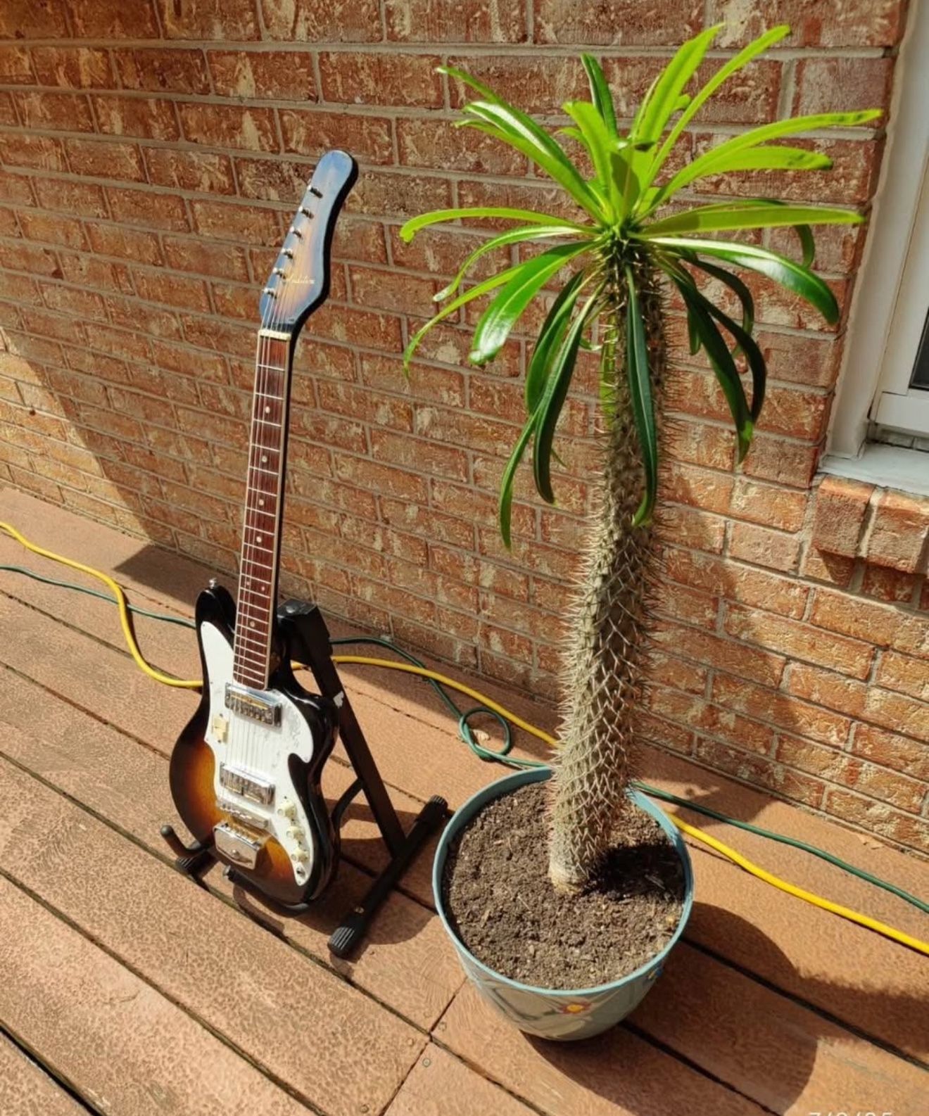 Teisco Audition Electric Guitar