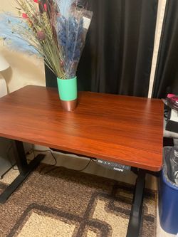 FlexiSpot Desk 30”x48” adjustable