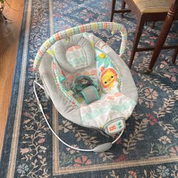 Bright Starts Baby Bouncer