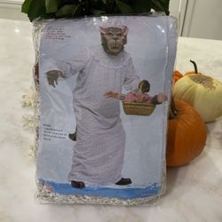 Big Bad Wolf Costume