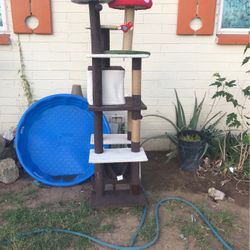 Cat Tree