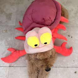 Sebastian’s Crab Dog Costume - Little Mermaid Costume 