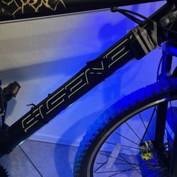 Good Bike Throw A Price !