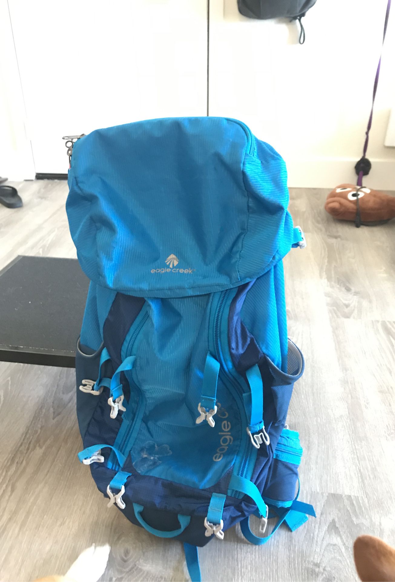 Eagle Creek Deviate 60L