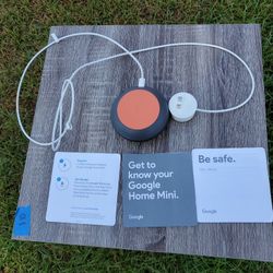 Google Play Mini Bluetooth Speaker