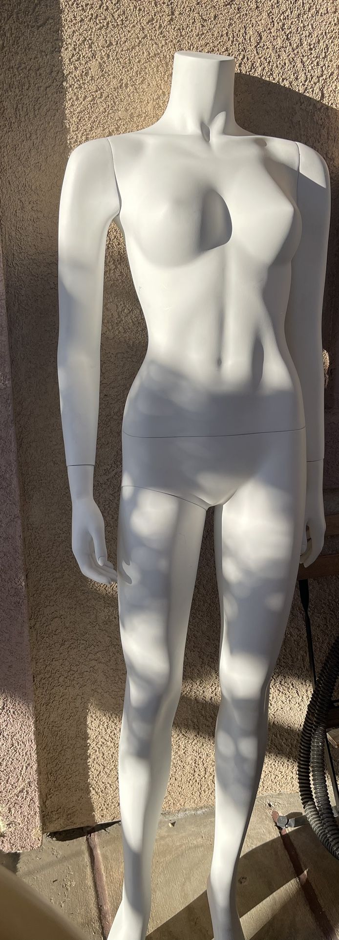 Mannequin No Stand  $45