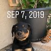 Ricardo