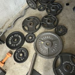 Home Gym Equipment