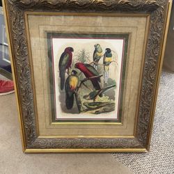 Framed Tropical Birds Print