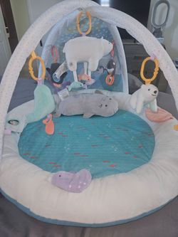 Gentle used- Carter’s Arctic Friends Play Gym
