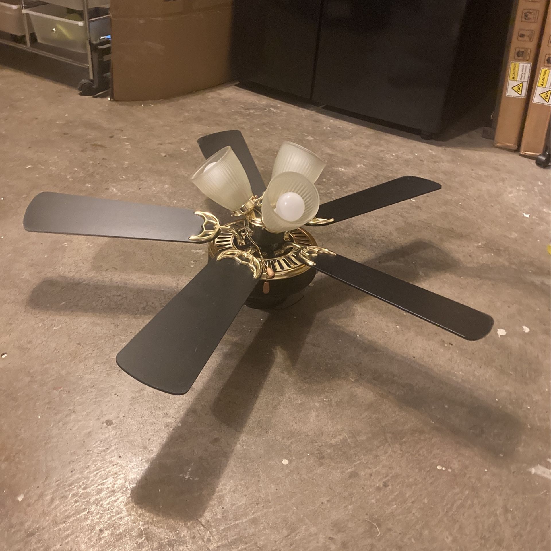 Curling Light/fan