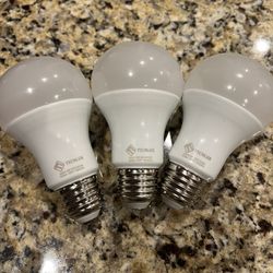 Daylight Bulbs